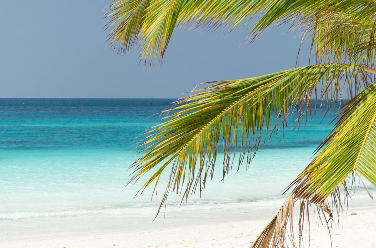 Tikitam Palms Boutique Hotel Pongwe Εξωτερικό φωτογραφία